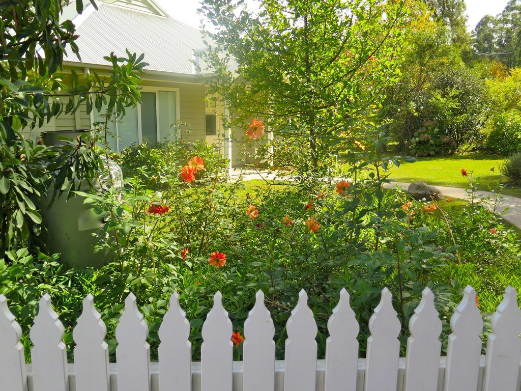 Amelina Cottages Marysville Extérieur photo