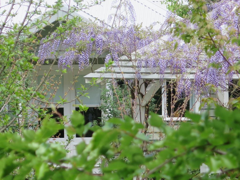 Amelina Cottages Marysville Extérieur photo